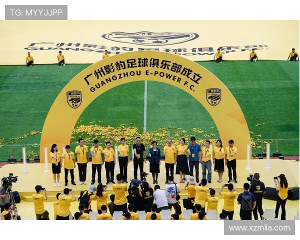 卢顿俱乐部引援动态：新援加盟提升球队实力 聚焦未来赛季目标