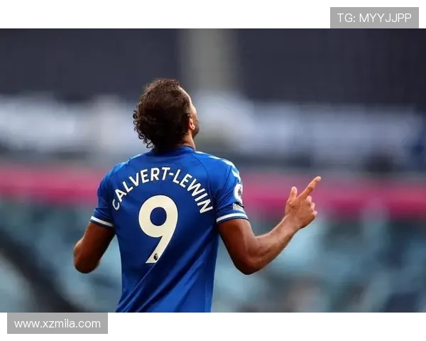 埃弗顿俱乐部百年荣耀与英超赛场永不言弃的蓝色传奇