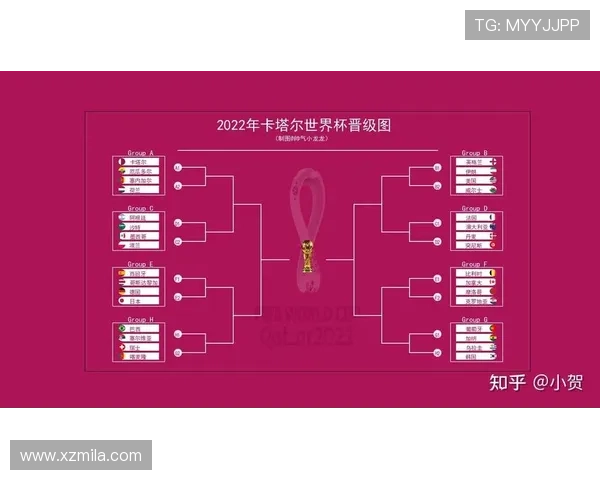 26世界杯已出线国家盘点及其晋级之路分析