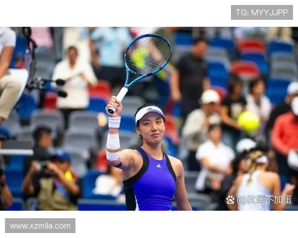 中国网球职业赛事发展现状与未来趋势分析：机遇、挑战与战略建议